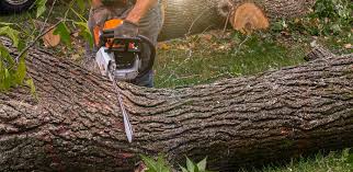 Best Artificial Turf Installation  in Dodgeville, WI
