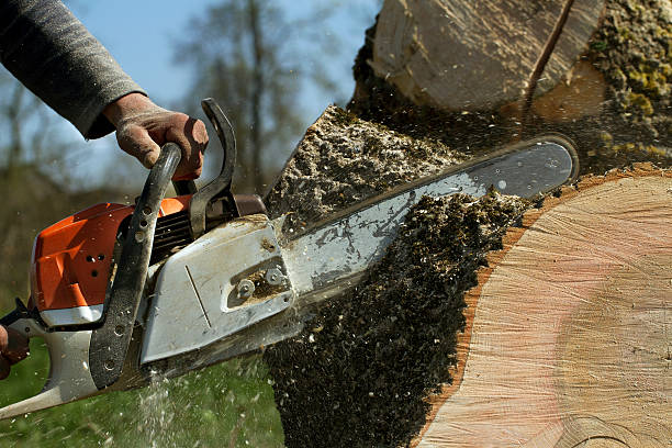 Leaf Removal in Dodgeville, WI